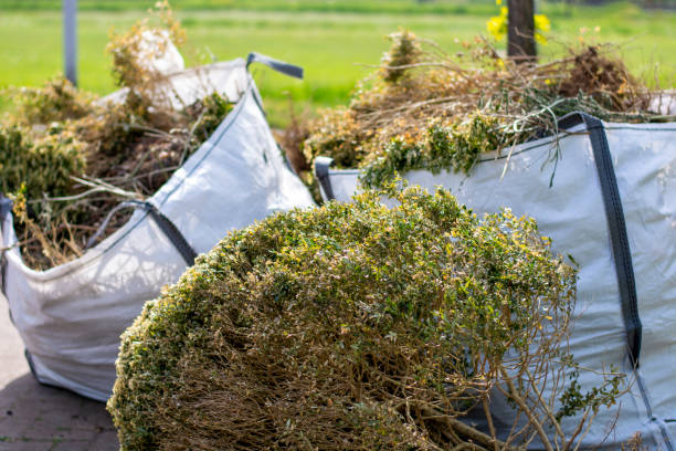 Best Dumpster Rental Services  in Cozad, NE